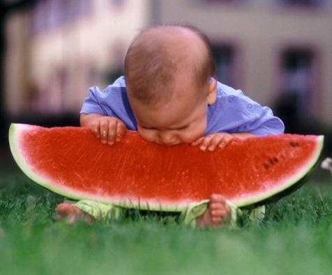 baby_eat_melon1.jpg